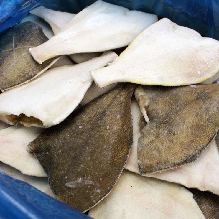 최근 인기있는 케이에스지 두절 손질 가자미 2.25Kg 15-22마리 대가오리회무침 가오리무침 냉동가오리 가오리찜 요리용가오리, q본상품선택p 추천해요 최근 인기있는 케이에스지 두절 손질 가자미 2.25Kg 15-22마리 대가오리회무침 가오리무침 냉동가오리 가오리찜 요리용가오리, q본상품선택p 추천해요
