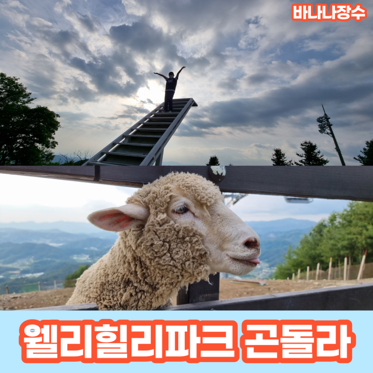 웰리힐리파크 곤돌라 양떼목장 + 후회 없는 야외테라스 BBQ 바베큐