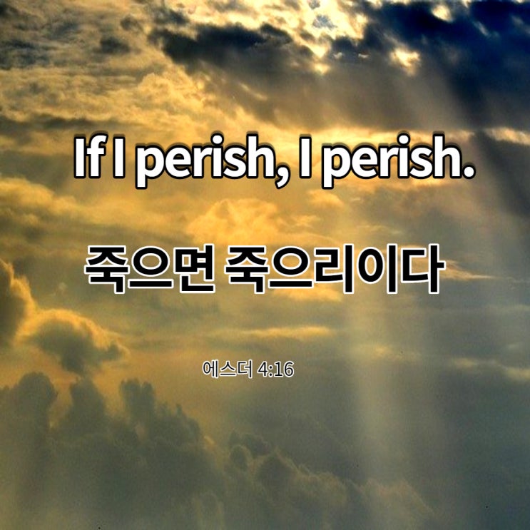  에스더의 각오, 영어성경 말씀으로 영어 초보자도 영어 읽으면서 영어공부할 수 있다.