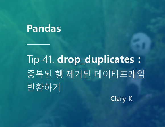 [파이썬] 판다스(pandas) 팁41.  drop_duplicates로 중복된 행이 제거된 데이터프레임(DataFrame) 반환받기