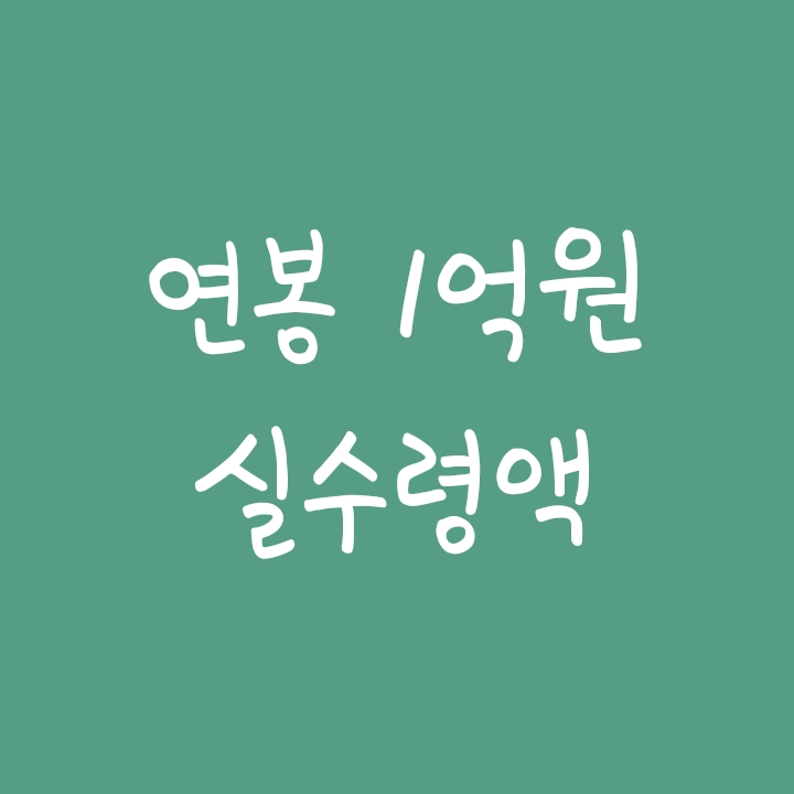 연봉 1억 실수령액 얼마나 될까? (세금종류) 연봉 1억 실수령액 얼마나 될까? (세금종류)