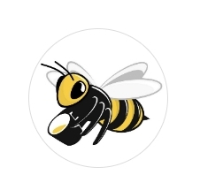  [Gold Bee] 6월25일 핫빗글로벌 상장예정! $20 상당의 골드비 에어드랍 이벤트