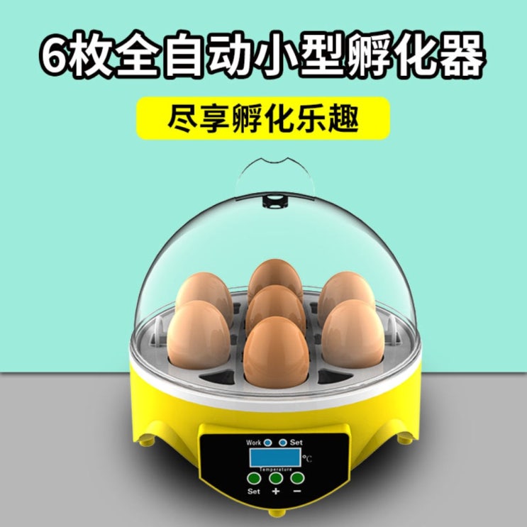 최근 많이 팔린 병아리 부화기 전자동 계란 부화기 메추리 병아리 키우기 인큐베이터, 전자동소형인큐베이터6개 ···