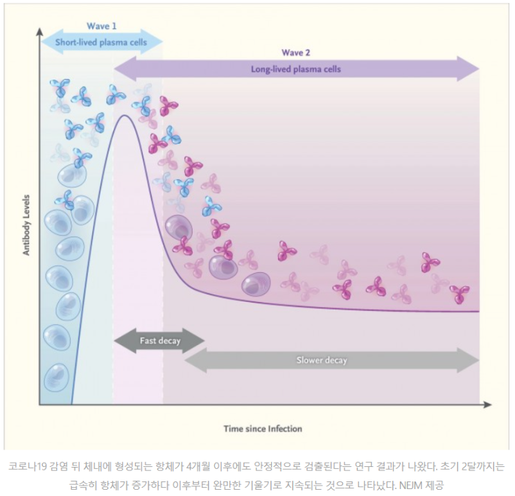  코로나 치료제, 게임 체인저??