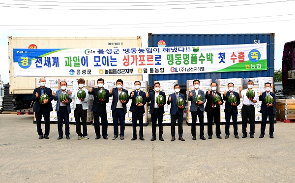  [충청미디어] 충북 음성 '다올판 맹동수박' 싱가포르 첫 수출길