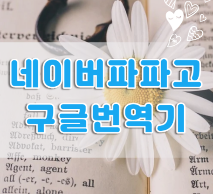  영어 해석기(네이버 파파고, 구글 번역기) 사용법