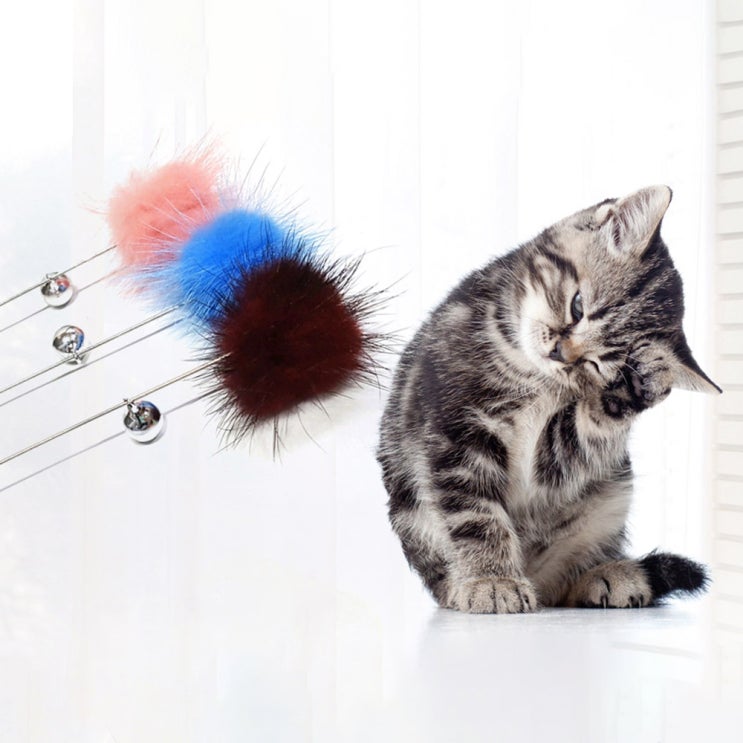 요즘 인기있는 힐링타임 노라조 별사탕 고양이 장난감 NH-041, 랜덤 발송, 3개 좋아요