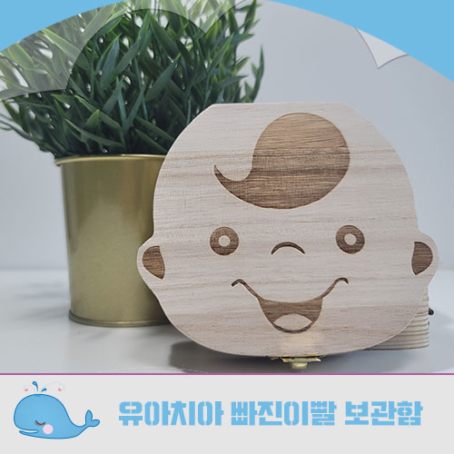  유치보관함,빠진이빨 케이스 해외직구 성공!!