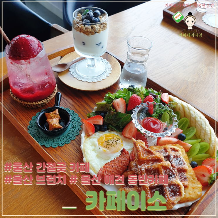  울산 간절곶 카페 카페이소 애견동반카페인데 브런치도 예술이네요