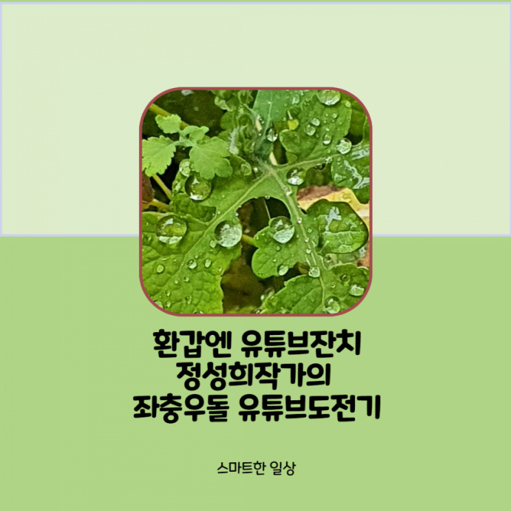  긍정의힘. 환갑엔 유튜브잔치