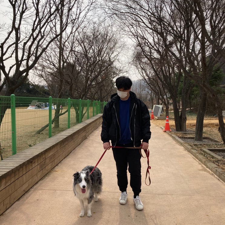 이요한 트레이너님을 소개합니다! @반려견 선생님 이요한 트레이너님을 소개합니다! @반려견 선생님