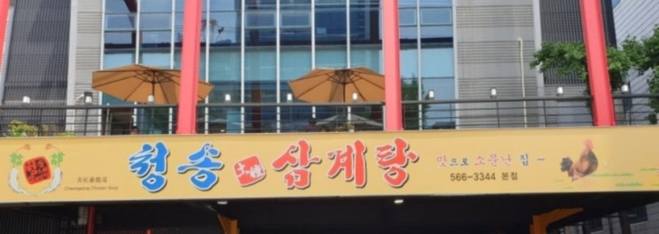 대구 맛집! 서구 청송 삼계탕^^