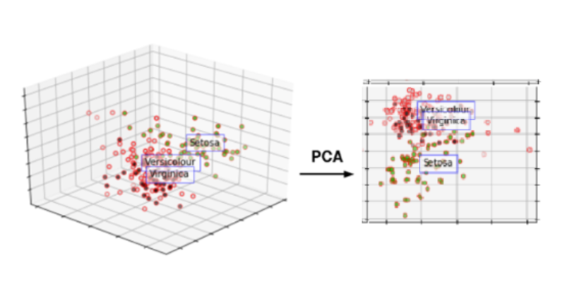 [Single Cell Analysis] Seurat 분석 튜토리얼 1 따라하기 (2) R studio로 pbmc ...