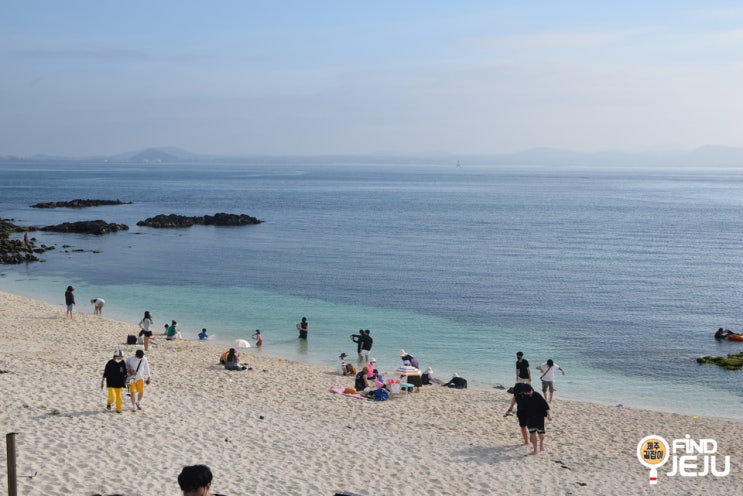  제주 우도 여행 여름날 필수코스