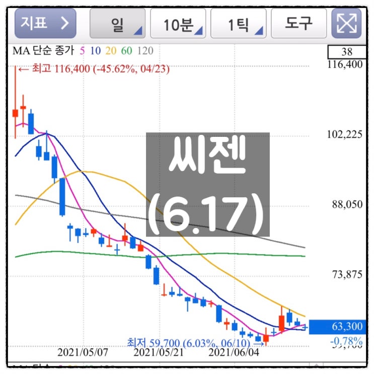  [미자의 주식일기] 씨젠(6.17)
