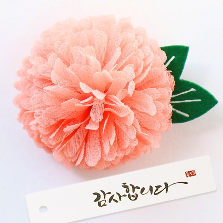 가성비 뛰어난 미모양 어버이날 고급 핸드메이드 카네이션 브로치 부토니에 스승의날 꽃 추천해요 가성비 뛰어난 미모양 어버이날 고급 핸드메이드 카네이션 브로치 부토니에 스승의날 꽃 추천해요