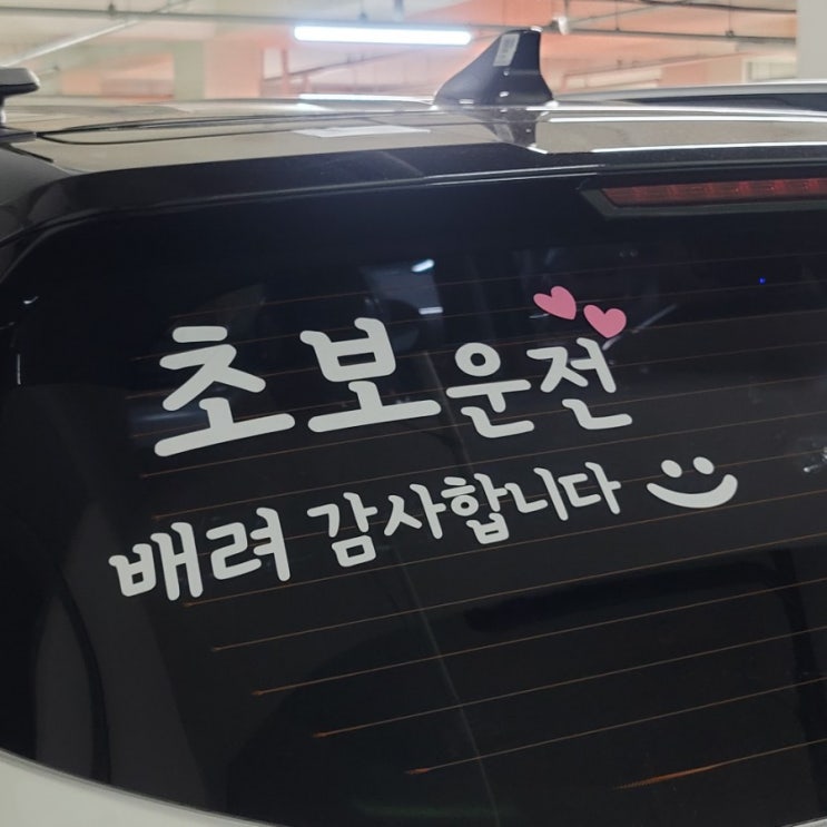  차량 스티커 주문하기 #초보운전