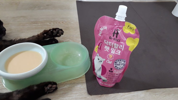  닥터할리 펫밀크 고양이우유 노령묘 간식으로 추천 내돈내산