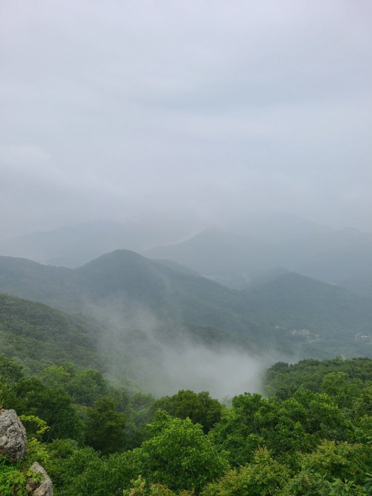  100대명산, 불갑산 등산 코스(불갑사 주차장~ 동백골~ 연실봉~ 구수재~원점)