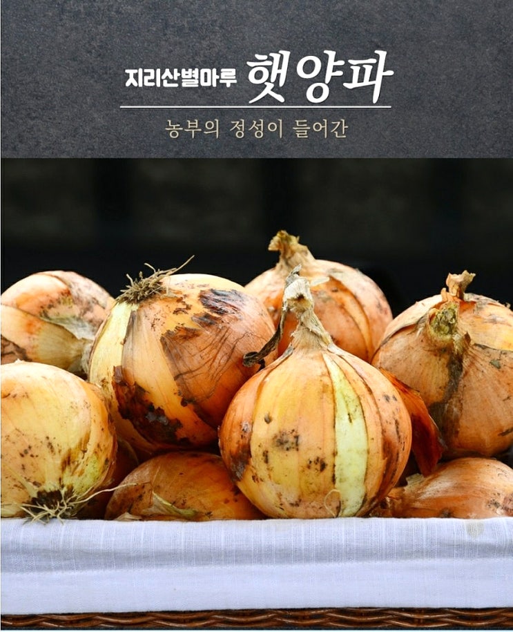  산엔청에서 지리산 별마루님의 햇 양파 구입했어요