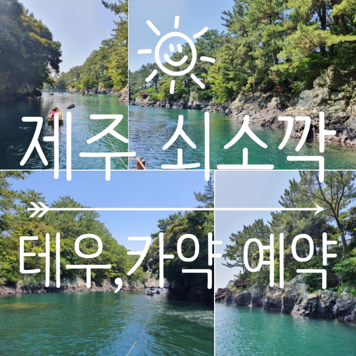 제주 쇠소깍 테우 인터넷 예약방법, 가격, 시간 (feat. 서귀포인정)