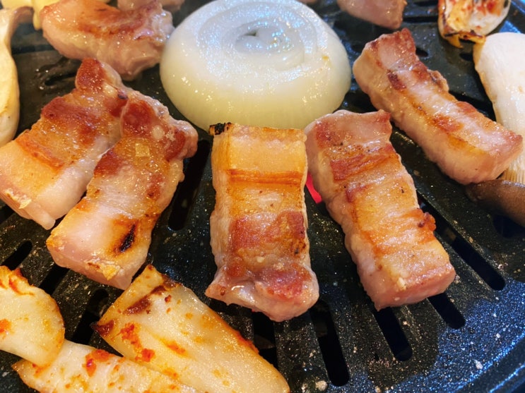  [대구,수성구] 빡빡이