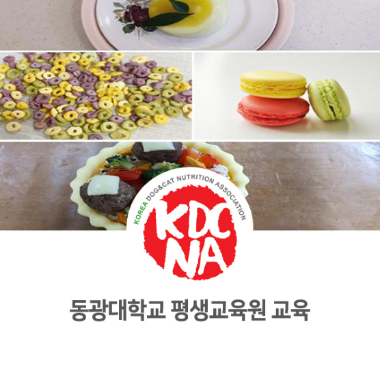  한국반려동물영양협회 광주지회 문정숙 펫영양사 동강대학교 평생교육원 펫영양 교육 안내_821 [펫푸드자격증/반려동물영양학/강아지자연식/고양이자연식/애견수제간식창업/순천/광양/여수]