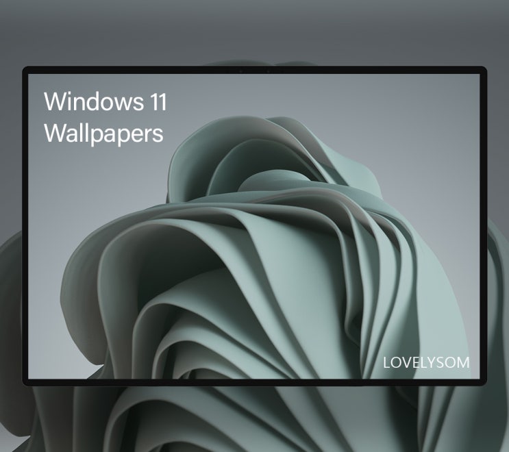 DOWNLOAD WINDOWS 11 STOCK WALLPAPERS & 윈도우 11 배경화면