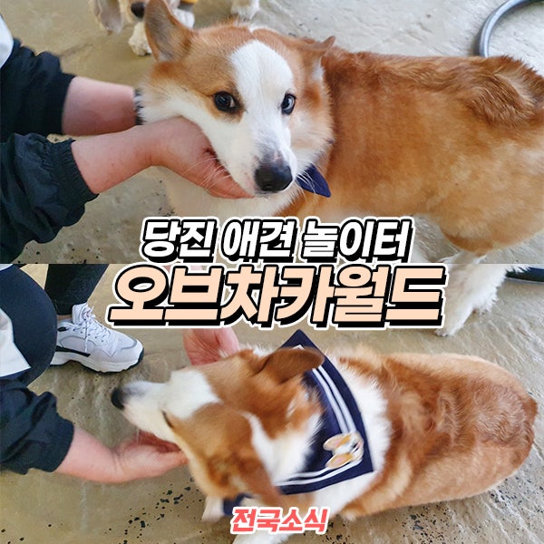 오브차카월드