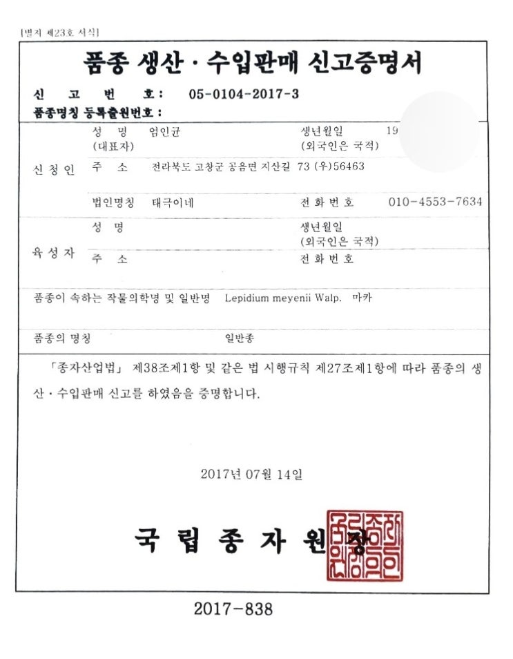 마카씨앗 판매 마카씨앗 판매