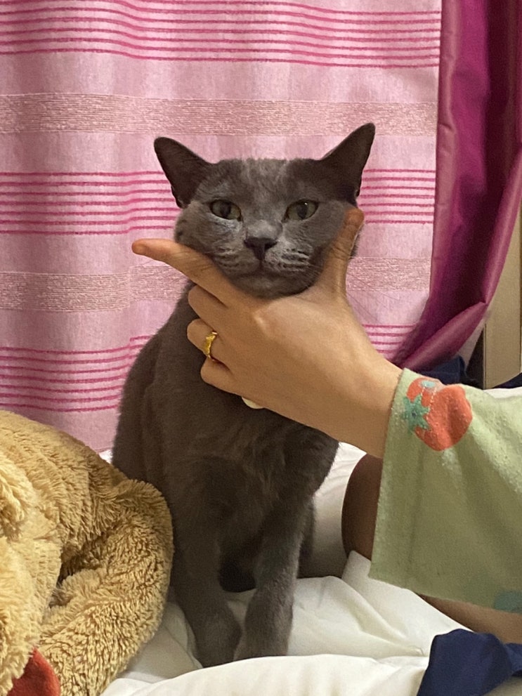  06월 17일 뚱이 일상