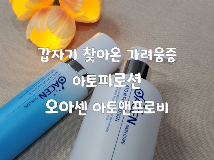 아토피로션 오아센 아토앤프로비 성인아토피로션으로도 좋네요 아토피로션 오아센 아토앤프로비 성인아토피로션으로도 좋네요