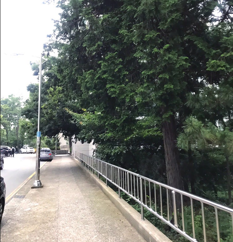  [DIARY] 나만 알아도 되는 나의 성장 일기 #12