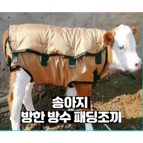 리뷰가 좋은 무배 송아지 방한복 방수 방한 패딩 조끼, 3벌-랜덤 추천합니다 리뷰가 좋은 무배 송아지 방한복 방수 방한 패딩 조끼, 3벌-랜덤 추천합니다