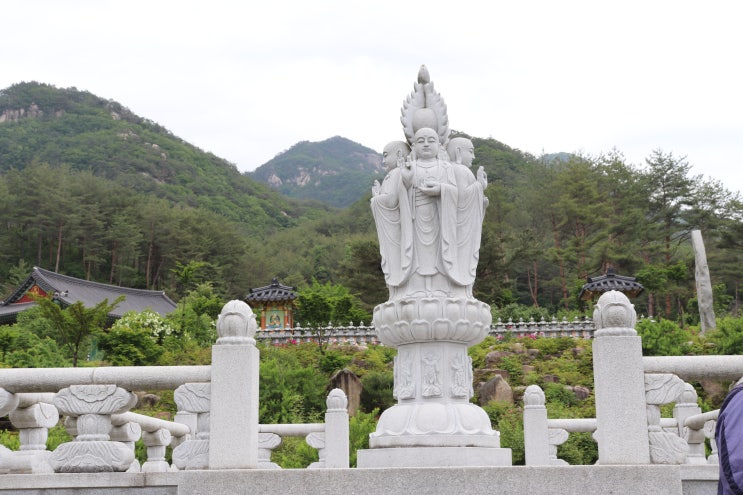  지장기도법(2) 지장보살 기도의 간절한 마음과 진실