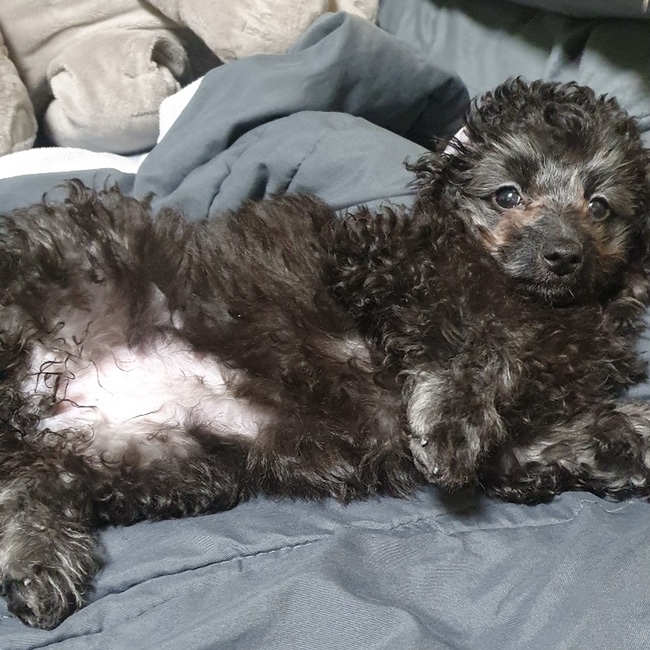  [김콩지] 2월_2
