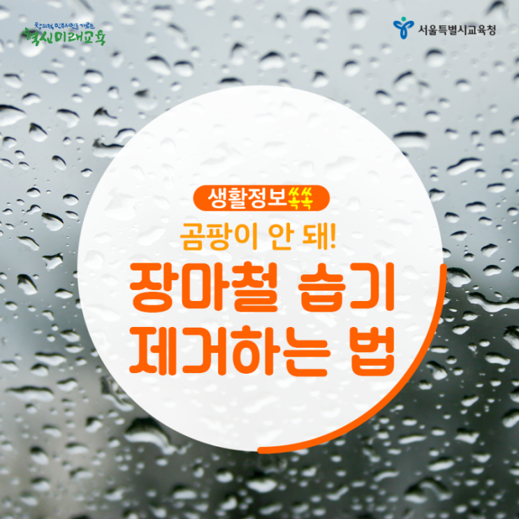  [생활정보쏙쏙] 곰팡이 안돼! 장마철 습기 제거 방법