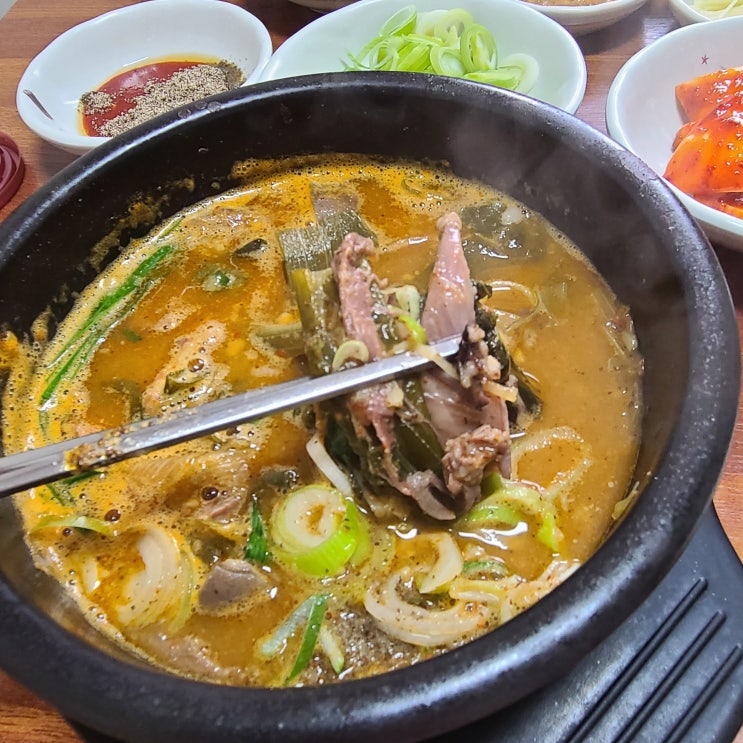  [충주] 냄새 안나는 염소탕 맛집! 우리집 3대가 다녀온 "홍창골 염소탕"