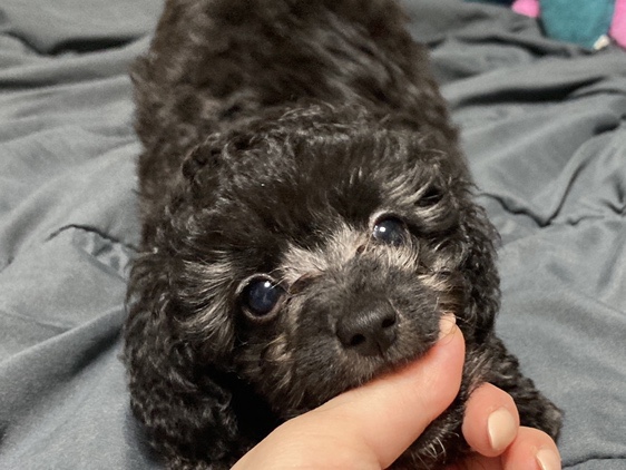  [김콩지]1월_3