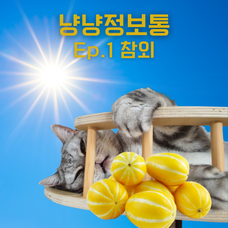  고양이가 참외를 먹어도 되나요? 마곡 고양이 동물병원
