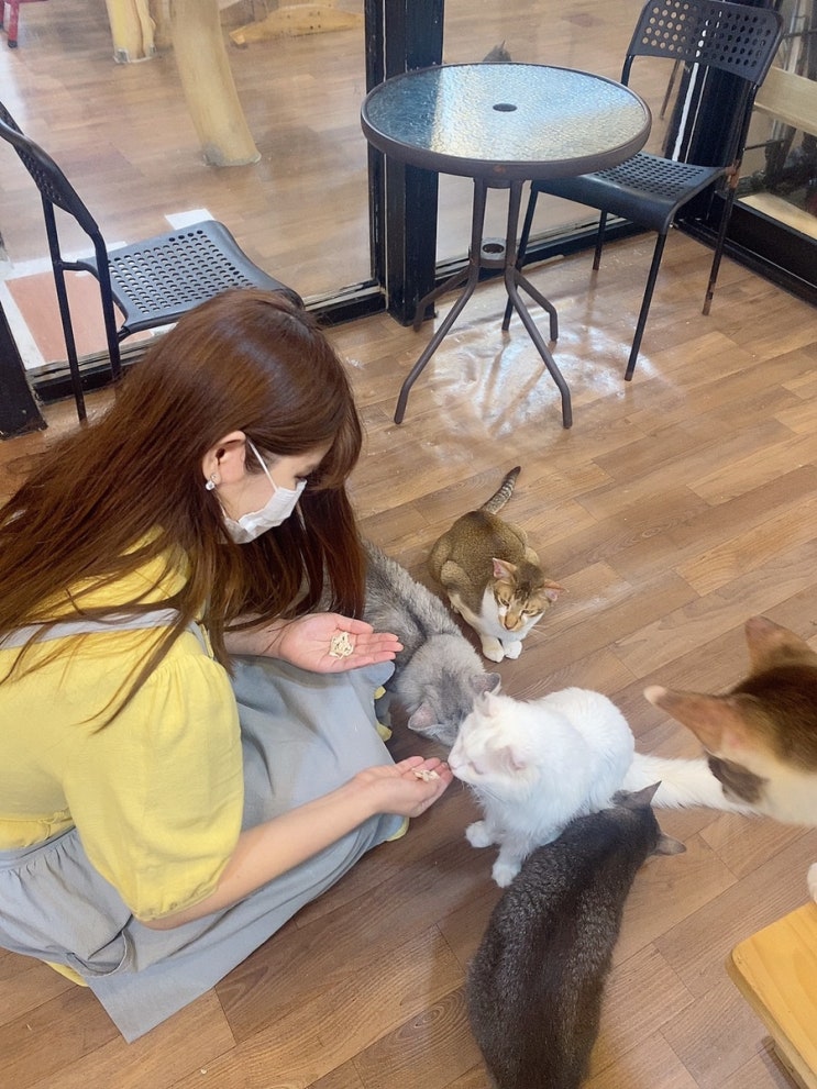  남포동 이색 펫카페[남포동/펫카페 라라랜드]