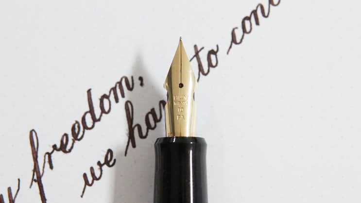  Enjoy Freedom (Pilot Custom 742 FA nib)
