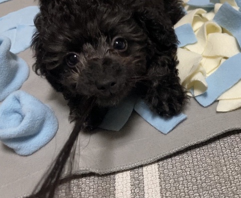  [김콩지] 2월_1
