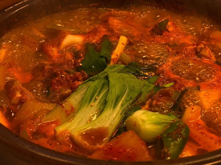  일산 정발산동맛집 진미닭한마리 어머니도 인정한 닭도리탕