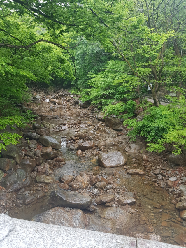 [구례여행] 지리산 자락에 자리한 천년고찰 "화엄사"