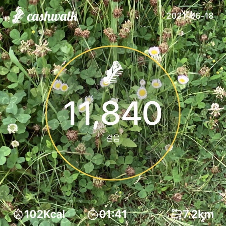 06.18) 1시간 41분