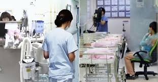 간호관리학 병동간호사 갈등원인 스트레스관리 갈등유형수준 개인집단조직 간호관리학 병동간호사 갈등원인 스트레스관리 갈등유형수준 개인집단조직