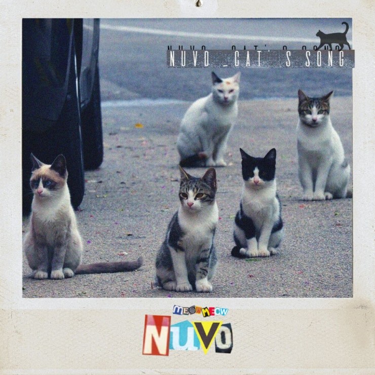 NUVO - 고양이노래 [노래가사, 듣기, Audio]
