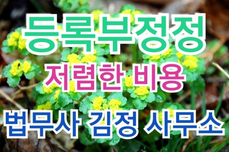  대전가정법원 천안지원 최근 등록부정정허가 결정사례(위장결혼, 위장혼인, 공전자기록불실기재죄, 혼인기록말소)