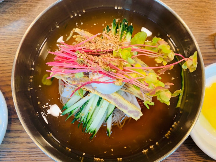  수영구청밀면 맛집 남천동 고메밀면으로 여름나기